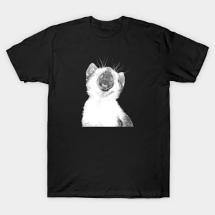 Black and White Sleepy Kitten T-Shirt